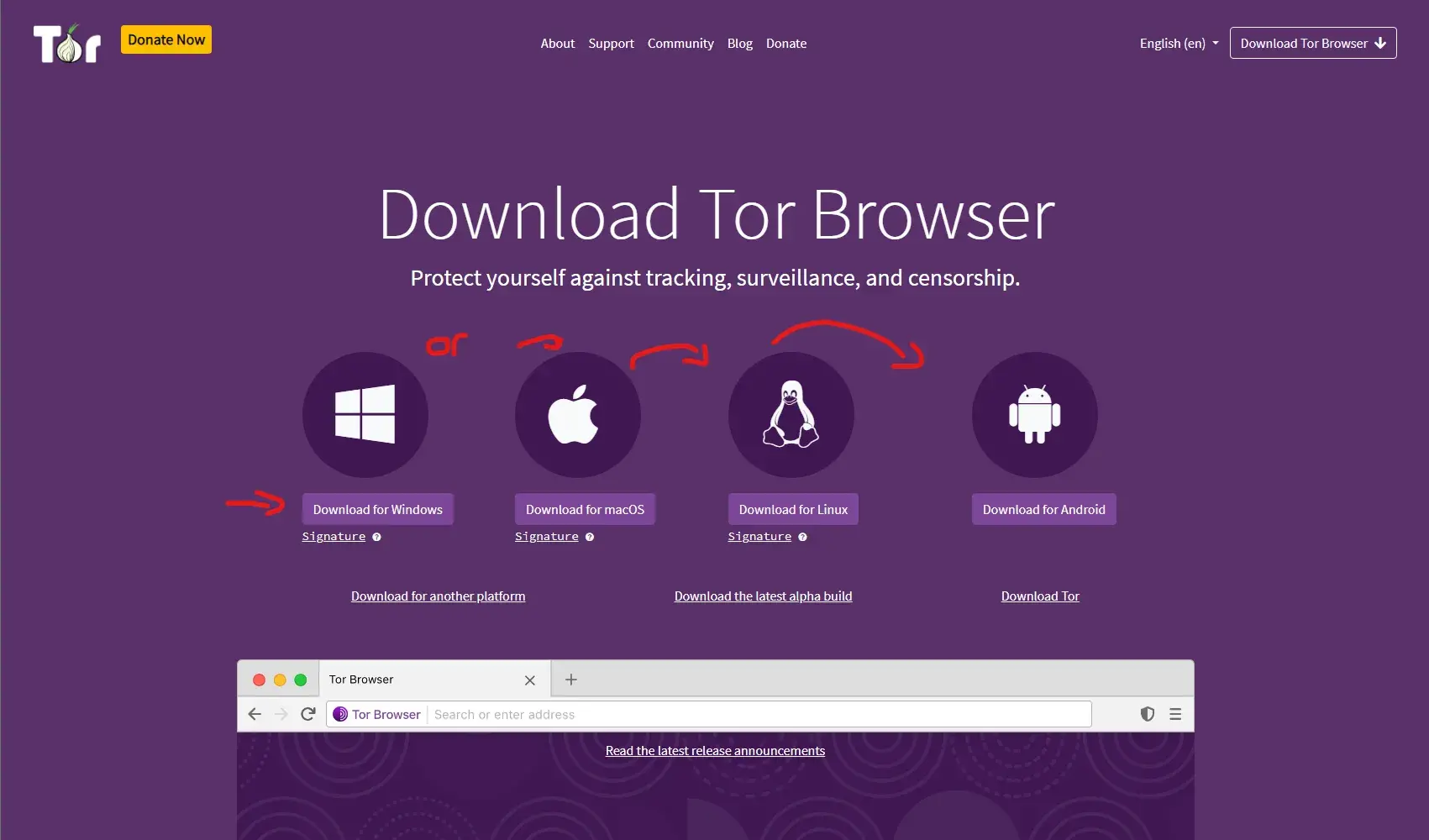 How to browse the deep web using TOR browser in 2024 for all systems.